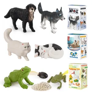 Realistic animal figurines collection including dogs, cats and frog growth cycle models
