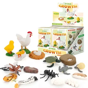 Educational animal life cycle growth stage figures in display box packaging