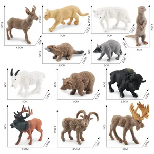 Gedetailleerde 12-delige realistische set van Noord-Amerikaanse wilde dieren op witte achtergrond