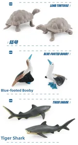 Realistic toy set featuring a tortoise, blue-footed booby, and tiger shark models