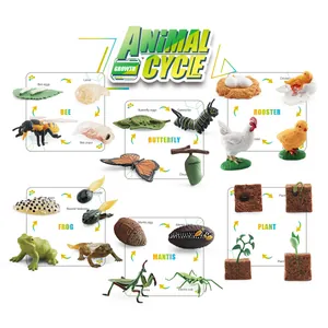 Educational animal and plant growth cycle model kit with bees, frogs and butterflies