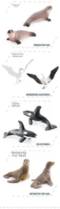 Detailed close-up of realistic polar animal models including killer whale and seal figures