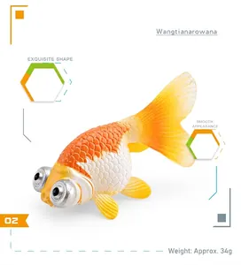 Détail macro du modèle de poisson rouge céleste avec écailles orange et données de poids