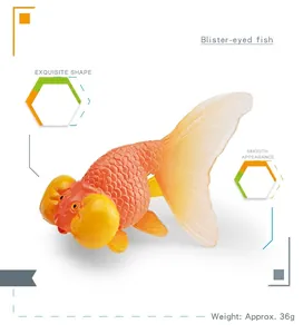 Détail d'un modèle de poisson rouge à yeux de bulle réaliste avec écailles, pesant 36g