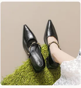 Close-up of black pointed-toe Mary Jane shoe with gold buckle and block heel detail