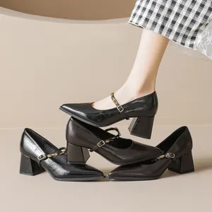 Classic French Mary Jane chunky heels with pointed toe and gold buckle in black and brown