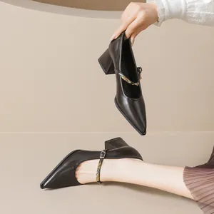 Elegant dark brown Mary Jane pumps with block heels and gold buckle in a minimalist setting