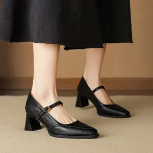 Vintage Square Toe Mary Jane Shoes For Women Microfiber Leather Block High Heel Buckle Strap French Style Elegant Office Pumps