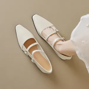 Damen Französisch Retro Mary Jane Flache Schuhe Spitze Zehen Doppel Schnalle Riemen Mikrofaser Leder Elegant Casual Schuhe