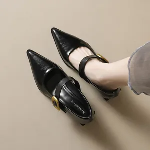 French Vintage Pointed Toe Mary Jane Shoes For Women Chunky Heel Microfiber Leather Elegant Single Strap Metal Buckle Dress Pumps