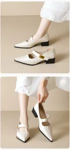Detailed macro view of the pointed-toe Mary Jane shoe with gold buckle and block heel