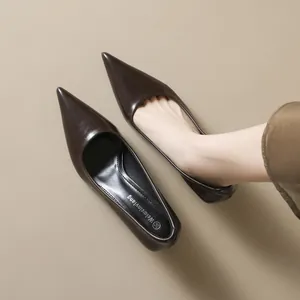 Elegant dark brown pointed toe high heel pumps for women in professional office style