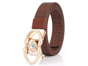 Detail of a brown woven nylon belt with a golden automatic buckle and engraved jewel decoration