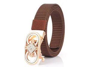 Detail of rose gold alloy buckle with rhinestones on brown nylon woven belt for women