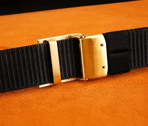 Detailed macro of black nylon belt with golden brushed stainless steel buckle