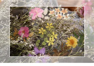 Détails d'autocollants botaniques en PET vintage avec bords transparents et motifs de roses