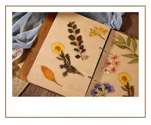 Gros plan détaillé de stickers PET botaniques vintage semi-transparents sur papier kraft