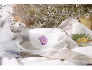 Set tasse et soucoupe en céramique florale sur lin blanc avec décorations botaniques