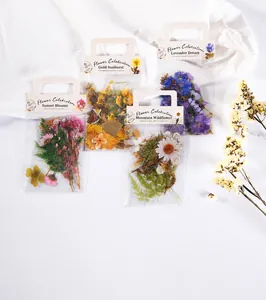 Vue macro d'autocollants de fleurs PET vintage de couleurs variées pour les journaux DIY