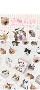 Detailed view of assorted cartoon cat expression stickers and pink striped packaging box