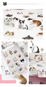 Funny cat meme stickers applied on tablet case and scattered on clean desk surface