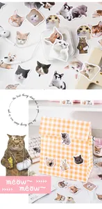 Detail of cute cat stickers on phone case and keyboard for creative DIY decoration