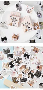Detailed close-up of cute cat-themed stickers and pink striped packaging box for DIY decor
