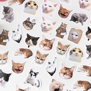 Cute cartoon cat sticker set featuring various expressions and breeds for DIY scrapbooking