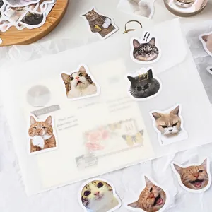 Kawaii cat stickers for DIY journals featuring funny facial expressions on envelopes