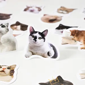 Cute cartoon cat stickers for DIY journals featuring various feline expressions and poses
