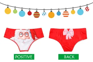 Detailed front and back view of Christmas panties featuring Santa print and pink bow