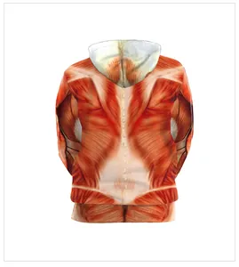 Rückansicht eines Hoodies mit realistischem 3D-Digitaldruck der menschlichen Rückenmuskulatur