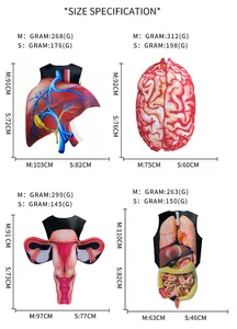 Size chart for realistic organ costumes with weight and dimension details