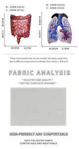 Size guide for 3D human organ costumes featuring detailed dimensions for lung and gut models