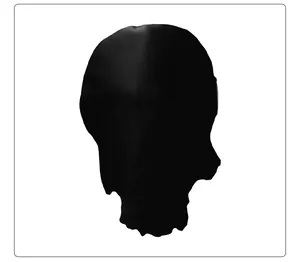 Detailed close-up of a matte black skull mask for Halloween cosplay with realistic bone texture