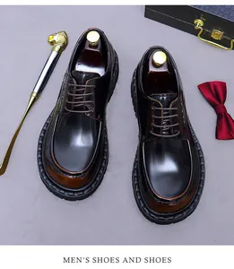 Polierte Leder-Business-Schuhe mit Schuhlöffel und Fliege im Premium-Geschenkset