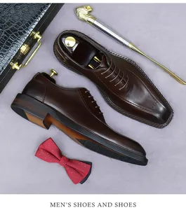 Κάτοψη καφέ δερμάτινων παπουτσιών brogue με κόκκαλο λιονταριού και παπιγιόν μετάξι