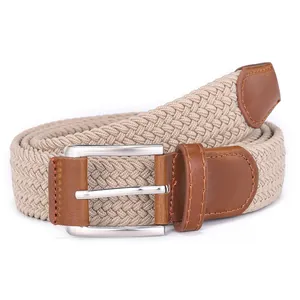 Detail of beige elastic woven belt with brown leather accents and silver pin buckle