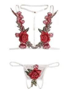 Ensemble lingerie sexy 2 pièces en résille blanche avec broderies roses rouges et brides