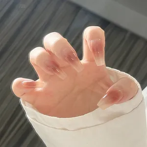 Unghie Finte Press On Lunghe a Bara Nude Sfumatura Marrone Rossiccio Blush Ombré Lucide Con Colla Decorazione Manicure Per Donna
