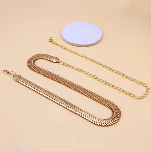 Macro detail of golden metal waist chain with snake bone texture and lobster clasp closure