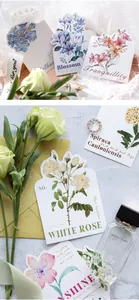 Artistic detail of vintage floral postcards with hand-drawn botanical illustrations