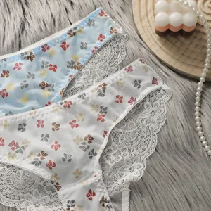 Slip da donna in pizzo e mesh floreale bianco e celeste su sfondo morbido in peluche