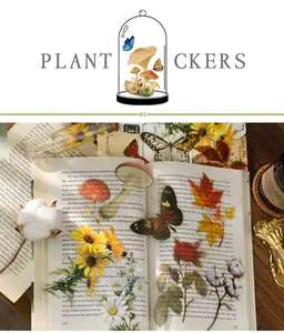 Détail macro d'autocollants PET transparents avec champignons et papillons sur un livre