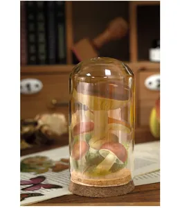 Détail de l'art du papier champignon vintage dans un dôme en verre et socle en liège