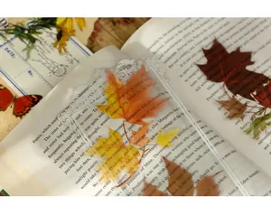 Vue macro d'autocollants PET en forme de feuille d'érable au style vintage scrap