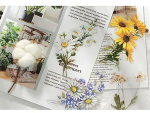 Gros plan d'autocollants PET floraux réalistes sur papier vintage avec marguerites et tournesols