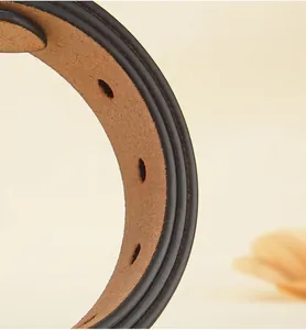 Detailopname van bruine lederen riem met luxe afgewerkte randen en ronde gaatjes