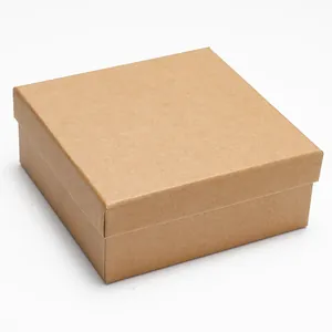 Minimalistische vierkante geschenkdoos van kraftpapier met deksel voor riemen