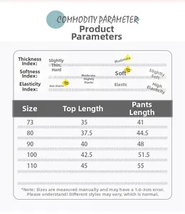 Size chart for toddler boy cartoon spring set showing lengths for sizes 73 to 110